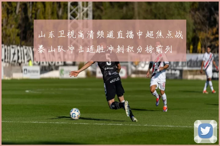 山东卫视高清频道直播中超焦点战泰山队冲击连胜冲刺积分榜前列