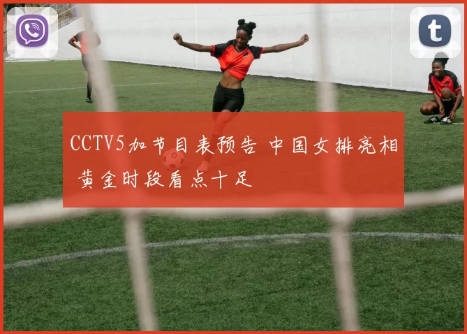 CCTV5加节目表预告 中国女排亮相 黄金时段看点十足