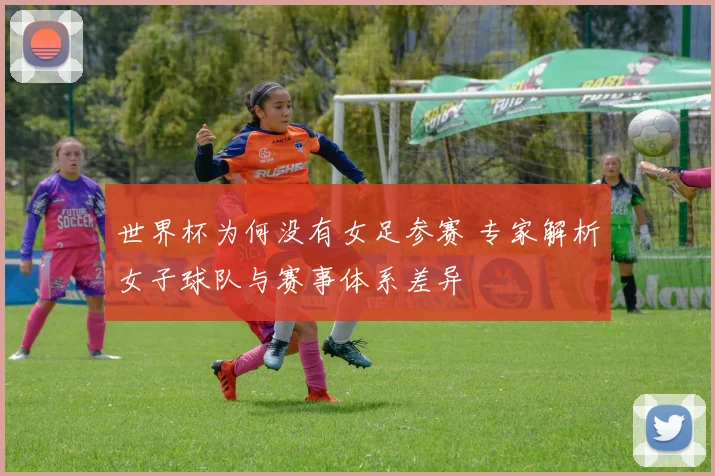世界杯为何没有女足参赛 专家解析女子球队与赛事体系差异
